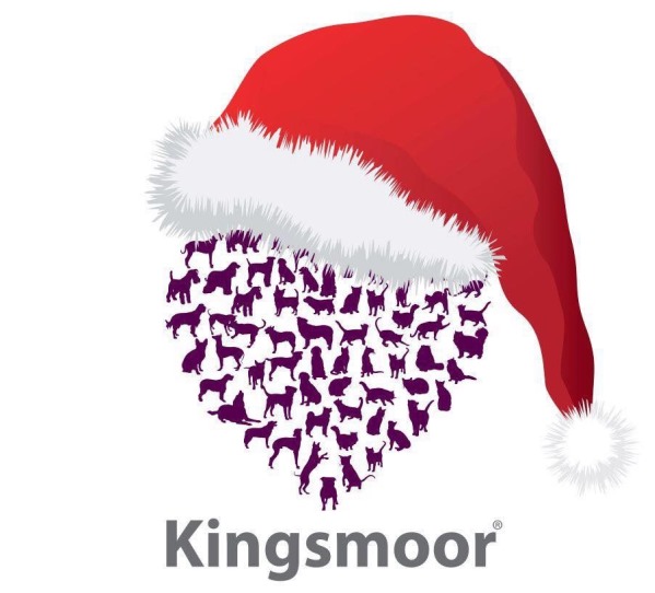 Kingsmoor Christmas